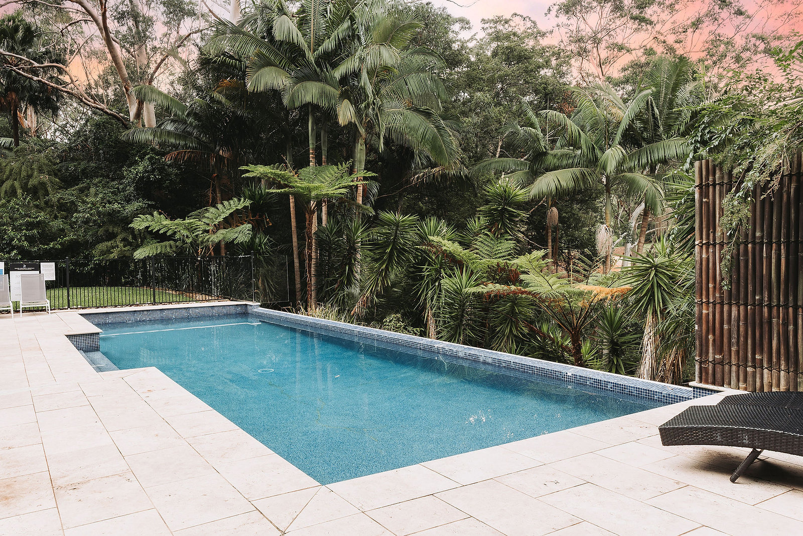 Swimming pool framed by tree ferns and rainforest